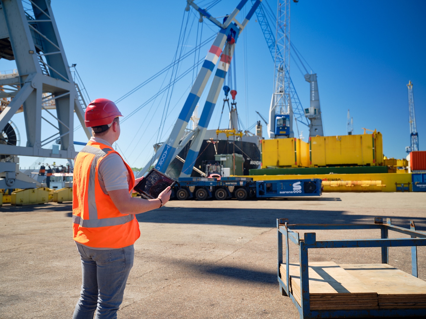 Import & Export Optimization